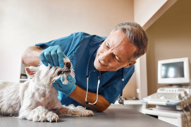 Best Emergency Tooth Extraction  in Port Salerno, FL